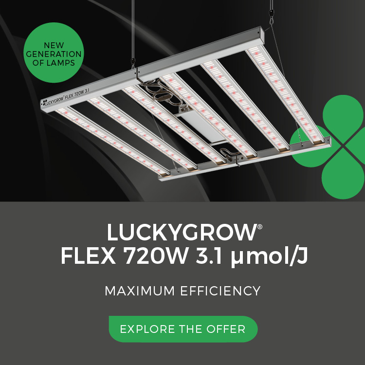 LUCKYGROW 3.1 720W