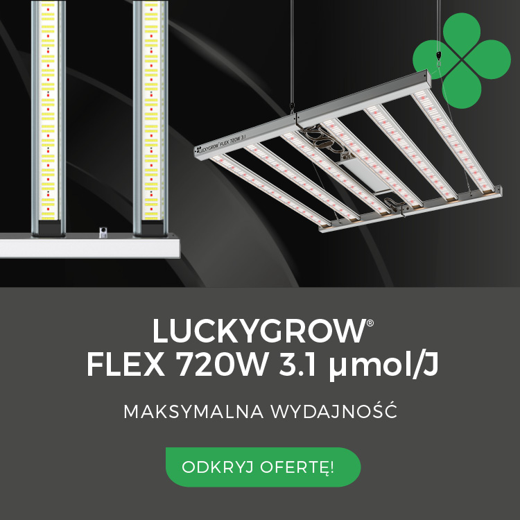 LUCKYGROW 3.1 720W PL